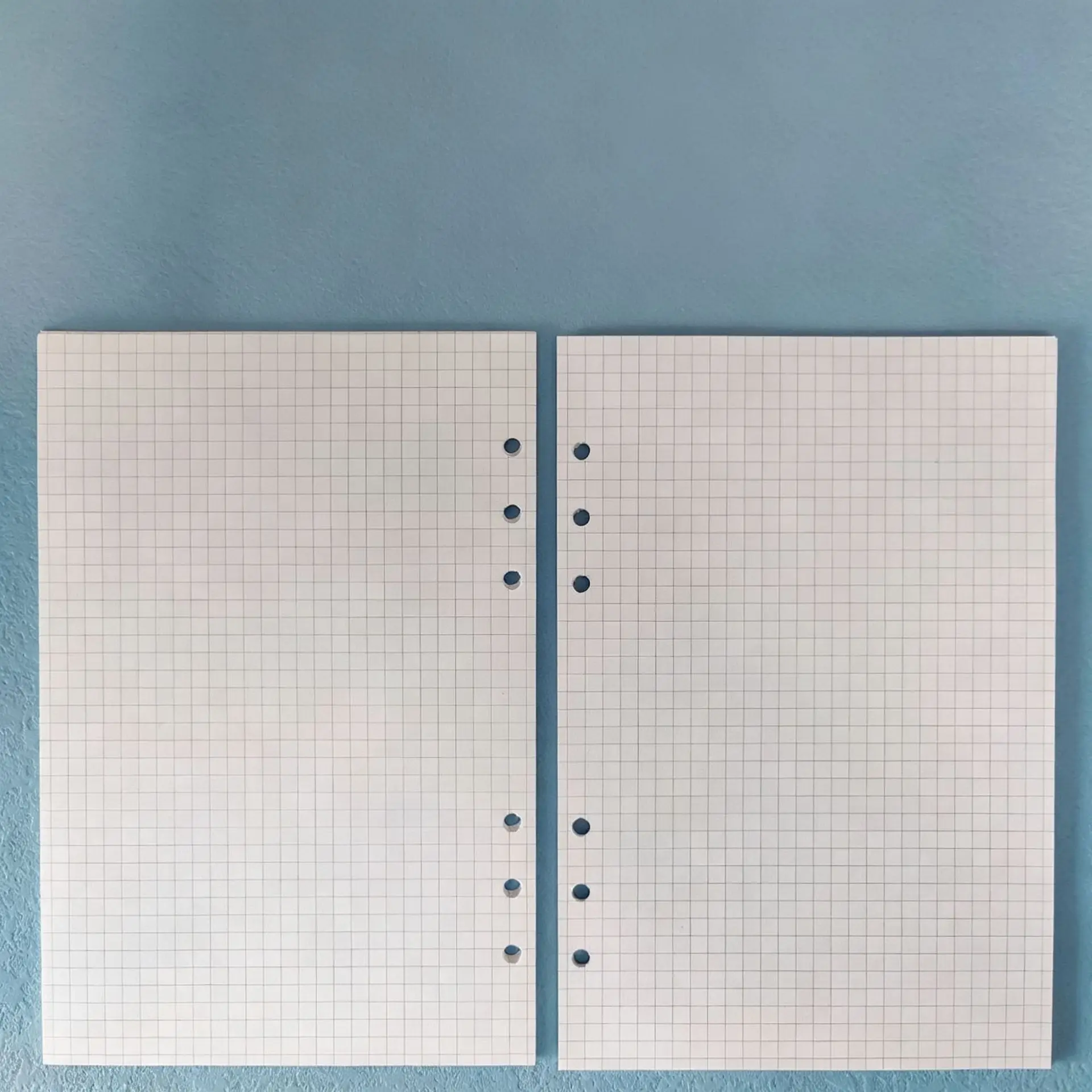 Ricambio Fogli Sciolti A5 A6 A - Notebook Dotted A5 recensione e prezzo